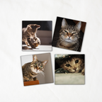 Set of 4 Customisable Magnets