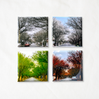Set of 4 Customisable Magnets
